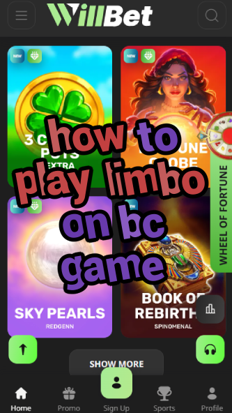How to Play Limbo on BC.Game: Game Guide-vz72fvrf.com